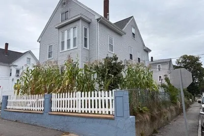 113 Myrtle Street ##3 1