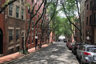 49 Garden St #1 1
