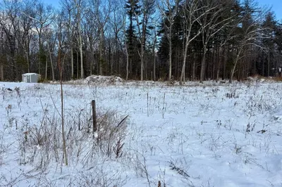 3 Tall Pines Trail 1