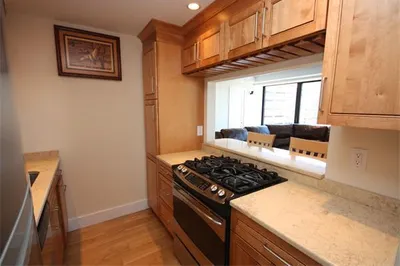 85 E India Row #5H