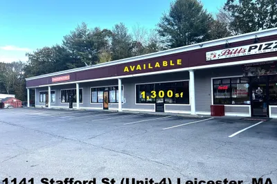 1141 Stafford Street #4