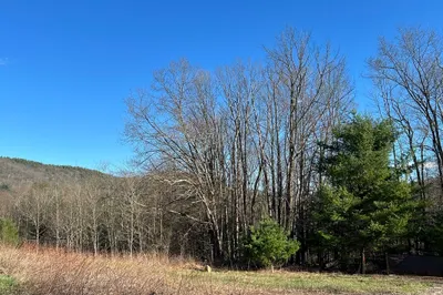25 Deer Run 1