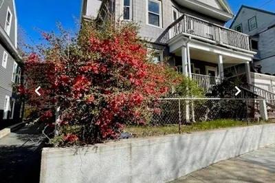 14 Dow St 1