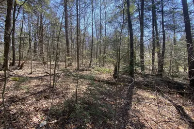 Lot 43 South Village Rd 1