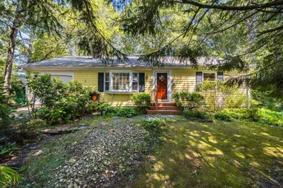 196 Forest Rd 1
