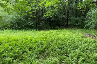 Lot 2 Hunt Rd