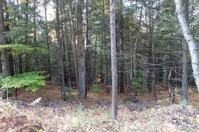 0 Thayer Hill Rd