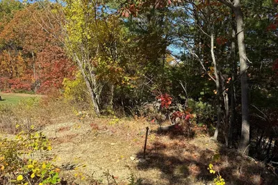 Lot 2 Birch St 1