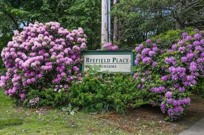 8 Longmeadow Dr #31 1
