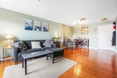 230 Willard St #412