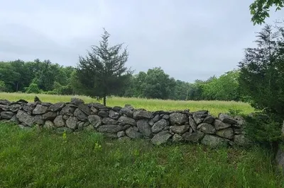 408 Scotland Road Lot 6