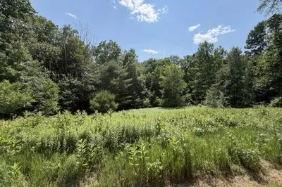 25 Deer Run 1