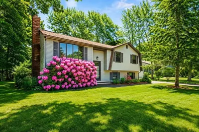 41 William Kelly Rd 1