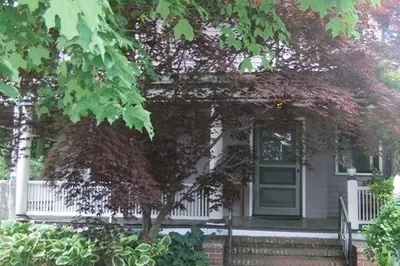 61 Judkins Street #3 1