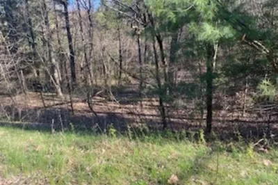 Lot 5 Brook Rd