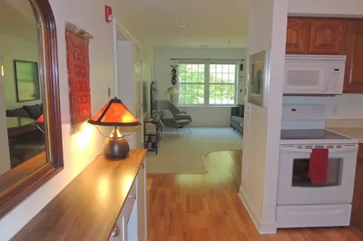 24 Greenleavse Drive #435 1