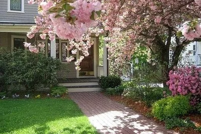 47 Clark Street #47 1