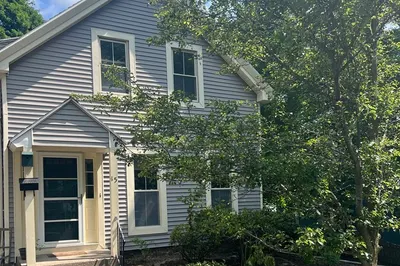 15 Pine