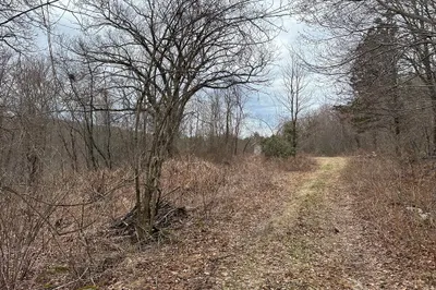 81 Town Farm Road 1