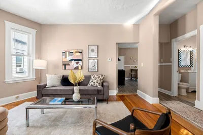 258 Shirley Street #3