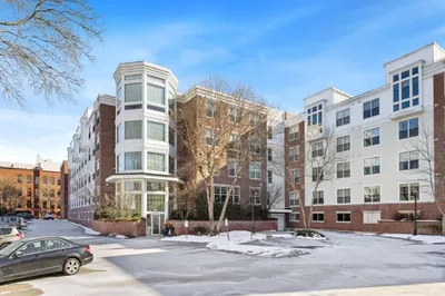 248 Albion Street #231