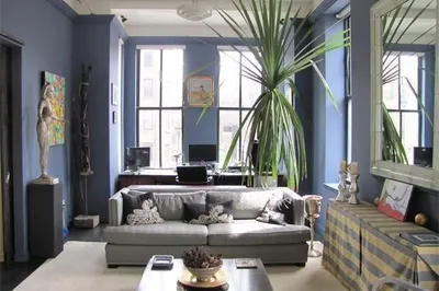 567 Tremont St. #5