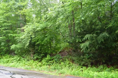 Lot 1 Monson Turnpike Rd 1