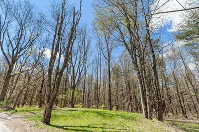 Lot 1 Rhodes Rd