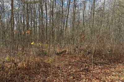 Lot 9 Jourdan Road 1