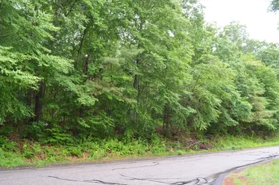 Lot 4 Babcock Tavern Rd 1