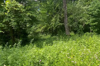 Lot 27c Pennie Lane