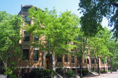 31 Linnaean Street #6