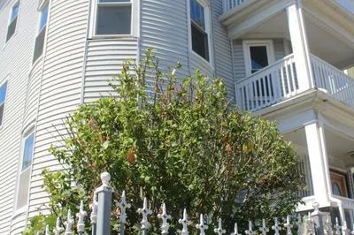 31 Topliff St #3 1