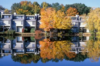 90 Mill Pond #90 1