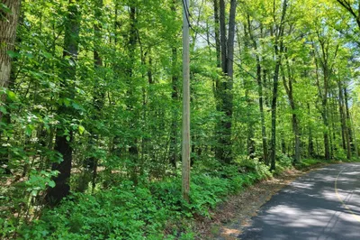 Lot 5 Daniels Rd 1