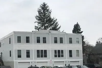 41 North AshlanD St #D 1