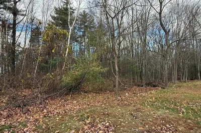 Lot 1 Edward St