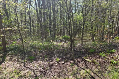 Lot 1 Winter St 1
