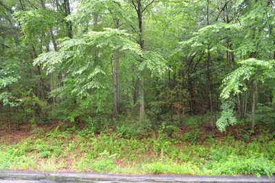 Lot 6 Babcock Tavern Rd 1