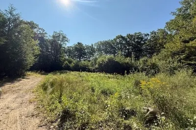 149 Bragg Hill Rd