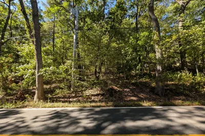 Lot 3 Pine Street 1
