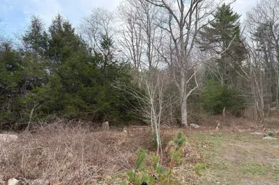 79 Woodman St 1