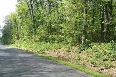 Xoxo Mihaliak Rd