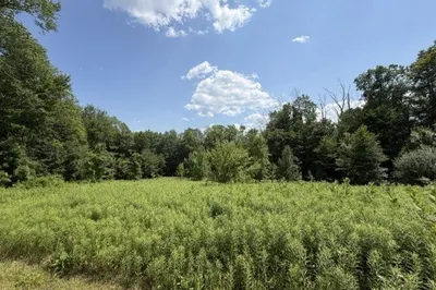 26 Deer Run 1