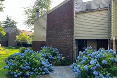 528 Great Elm Way #528