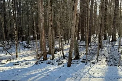 0 Mathews Rd