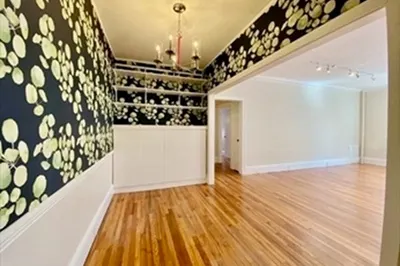 205 Mt. Auburn St #1D 1