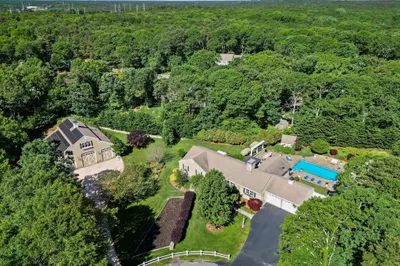 20 Gelding Cir 1