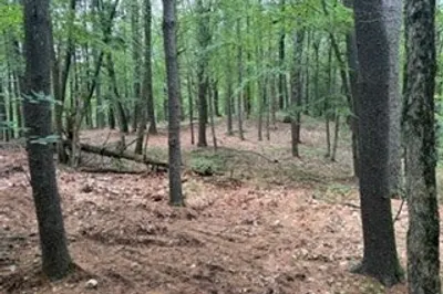 Lot B Willow Road 1