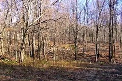 480 Mountain Road 1